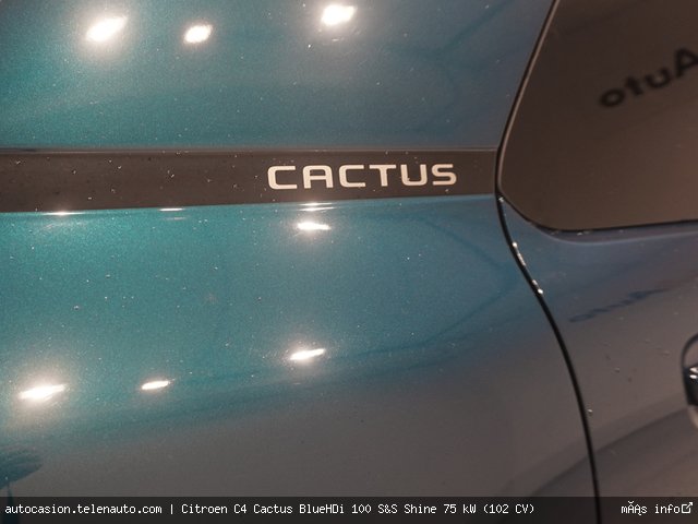 Citroen C4 cactus BlueHDi 100 S&S Shine 75 kW (102 CV) Diésel de ocasión 13